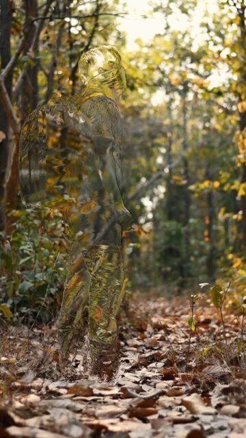 The art of disappearing in nature 
#nature #natgeoindia #earthcapture #nikonindiaofficial