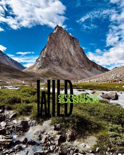 If you’re an avid traveller looking for a unique and offbeat destination, then Gumbok Rangan in the Lungnak Valley of Zanskar is a place you should not miss. Located in the remote region of Ladakh, Gumbok Rangan is an isolated village that offers a serene and untouched experience to its visitors.
.
#Zanskar #GumbokRangan #WildHimalaya 
#indianwildlife #indianbirds