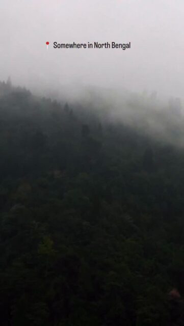 Latpanchar is a serene, offbeat hamlet in the Darjeeling district of West Bengal, known as a premier birdwatching destination and the highest point (~4,200–5,000 ft) of the Mahananda Wildlife Sanctuary. Famed for the rare Rufous-necked Hornbill, it features lush sal, teak, and cinchona plantations, offering panoramic views of the Teesta River. 
#natgeoindia #indianbirds #nikonindiaofficial #birdsofinstagram #earthcapture